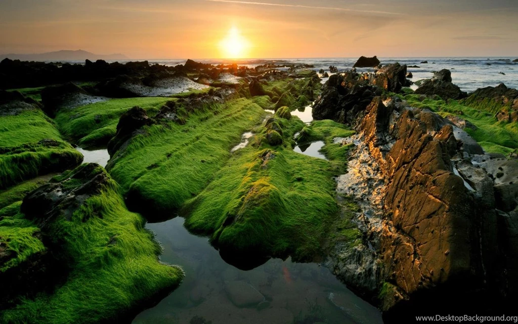 Green Nature Scenery Wallpapers 1280x800 For 17 inch Widescreen