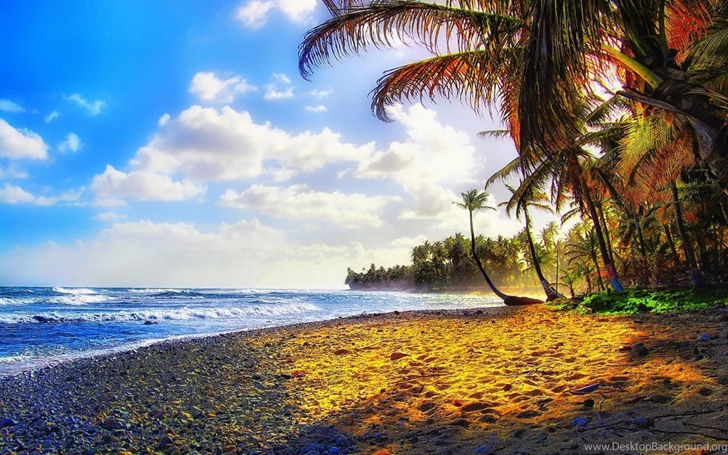 1280x800 BAckground