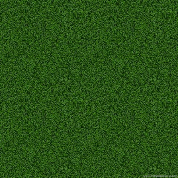 Green Grass Backgrounds Two