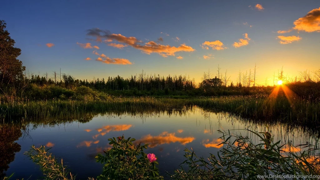 Nature hd background 22 HD Wide Wallpapers