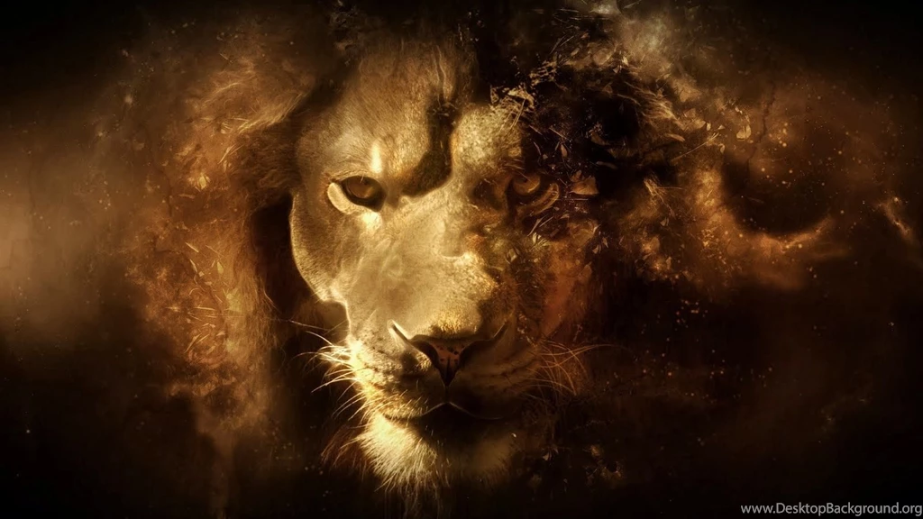 Animal HD Wallpapers For Backgrounds HD Wallpapers Blog