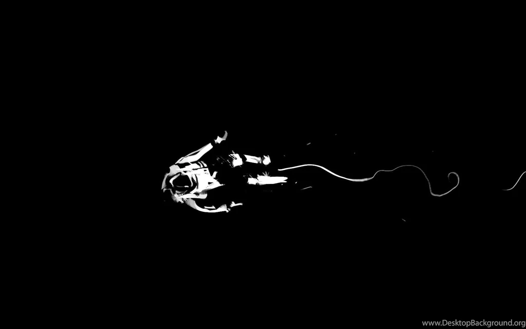 A Large Astronaut With Boombox HD Wallpapers Pics About Space