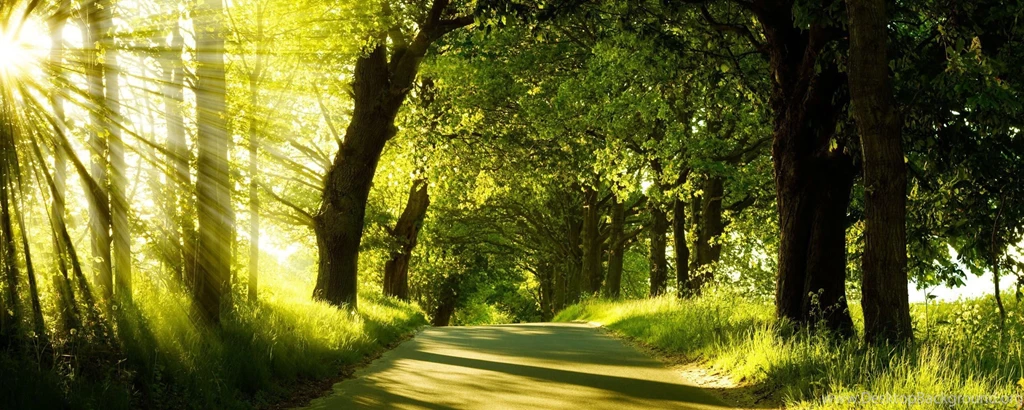 Some Pictures Of Nature These Pictures A Not Edited By Photoshop ...