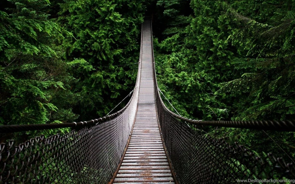 Nature HD Background 13.jpg