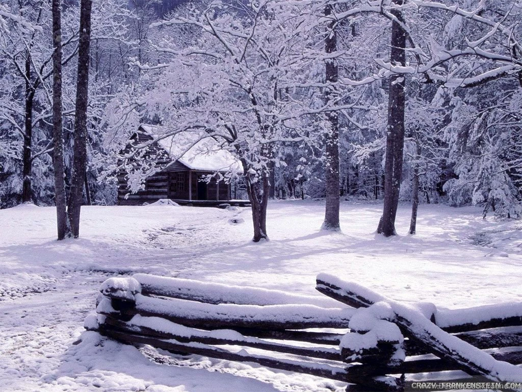 Winter Day Wallpapers 2 Crazy Frankenstein