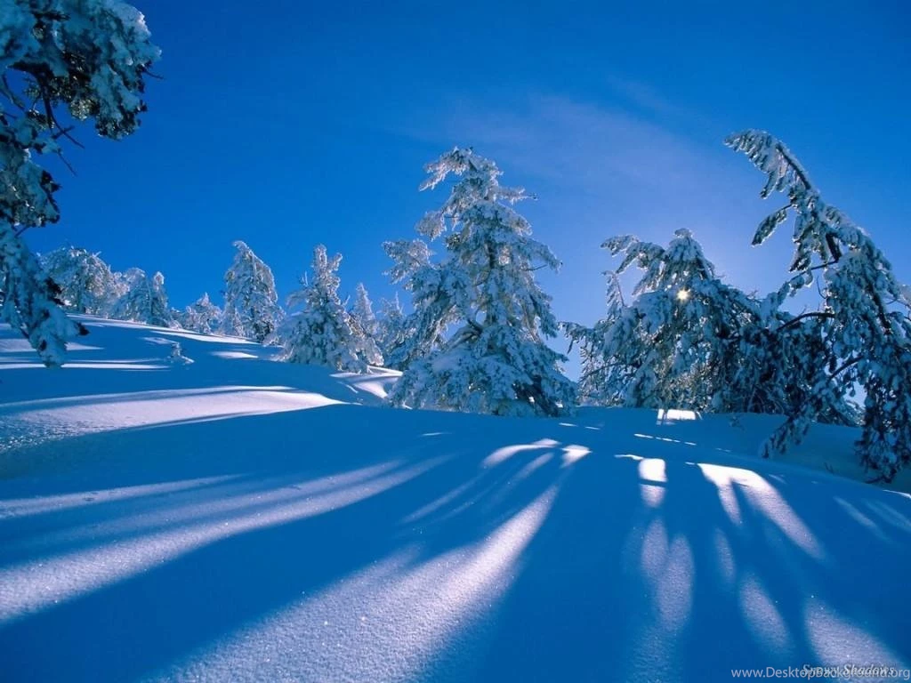 Winter Desktop Wallpapers 1024×768