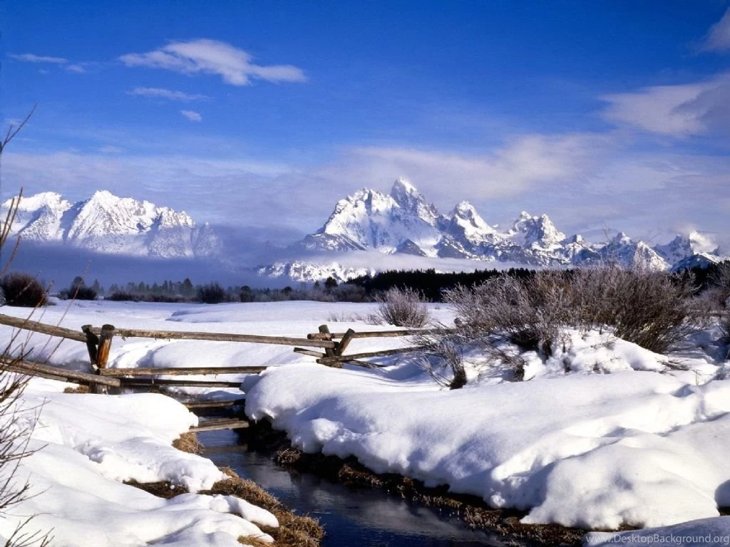 Nature: Winter, Picture Nr. 40015