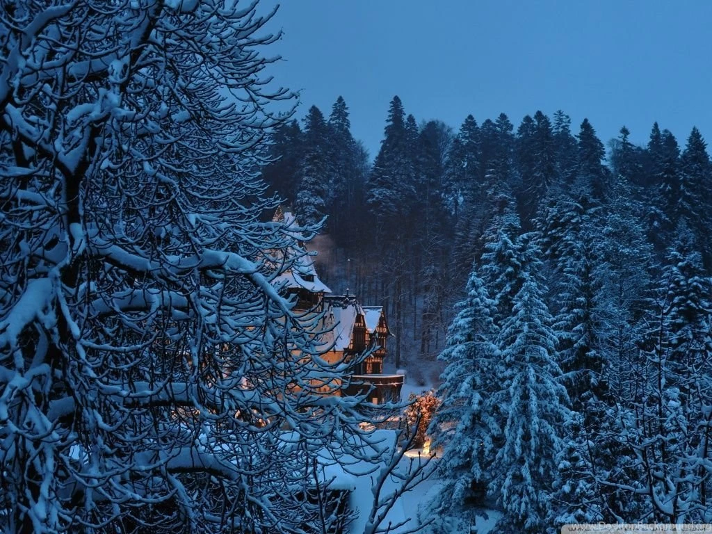 Peles Castle Romania, Winter HD Desktop Wallpapers : Widescreen ...