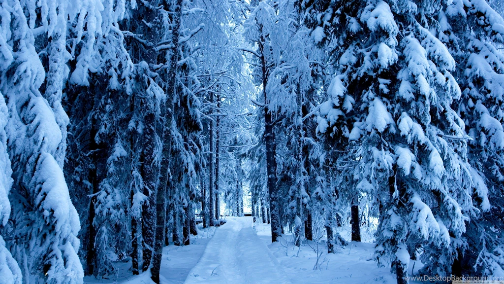 Snow Wallpapers