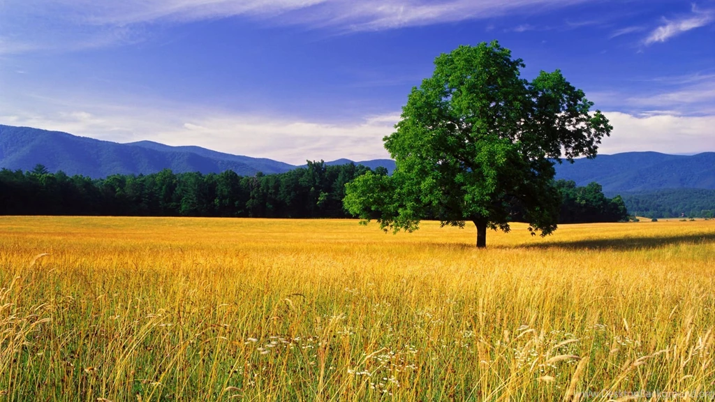 Nature Landscapes HD Wallpapers