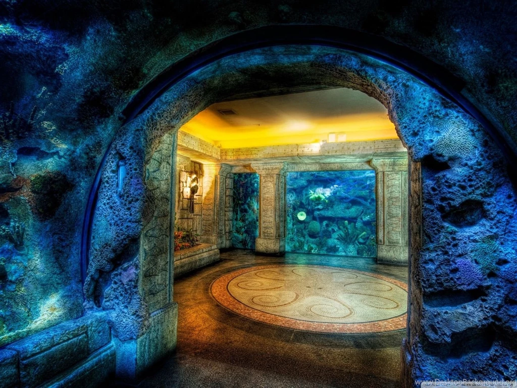 Download Aquarium HDR Wallpapers Wallpapers Printed