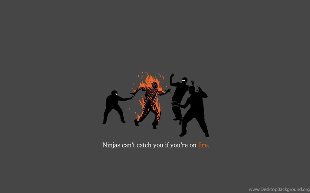 Ninjas Can't Catch You Wallpapers