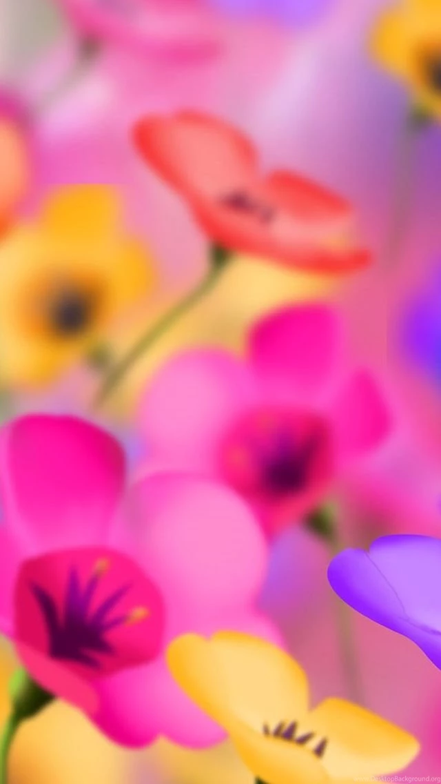 iPhone 5 Nature HD Wallpapers Clorful Flowers Wallpapersmobile.net