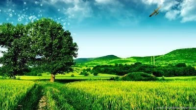 Wallpapers For PC Desktop: Live Wallpapers For Desktop
