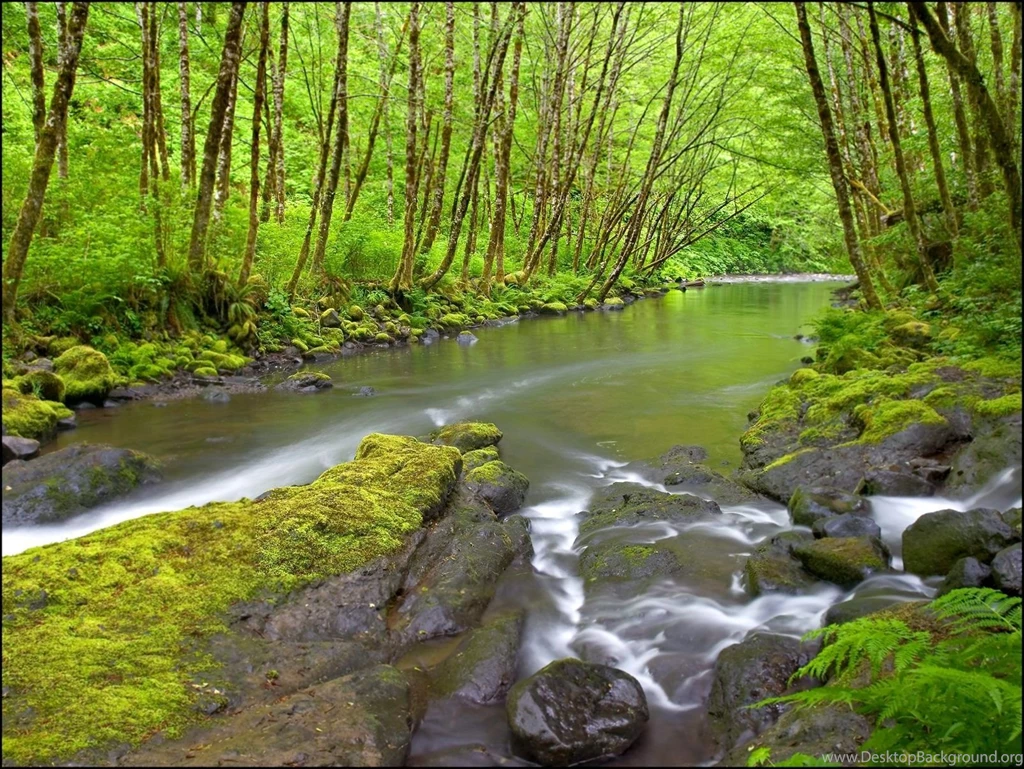 Free PC Backgrounds Wallpapers