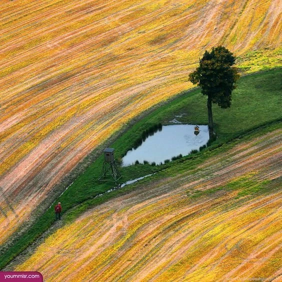 Free PC Backgrounds 2015 Landscape Firms Http://www.yoummisr.com ...