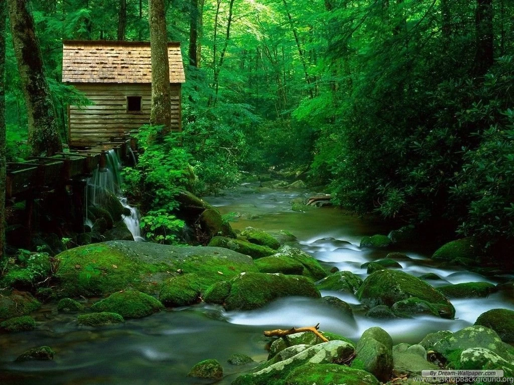 Free Wallpapers Free Nature Wallpapers Waterfall And Stream 2 ...