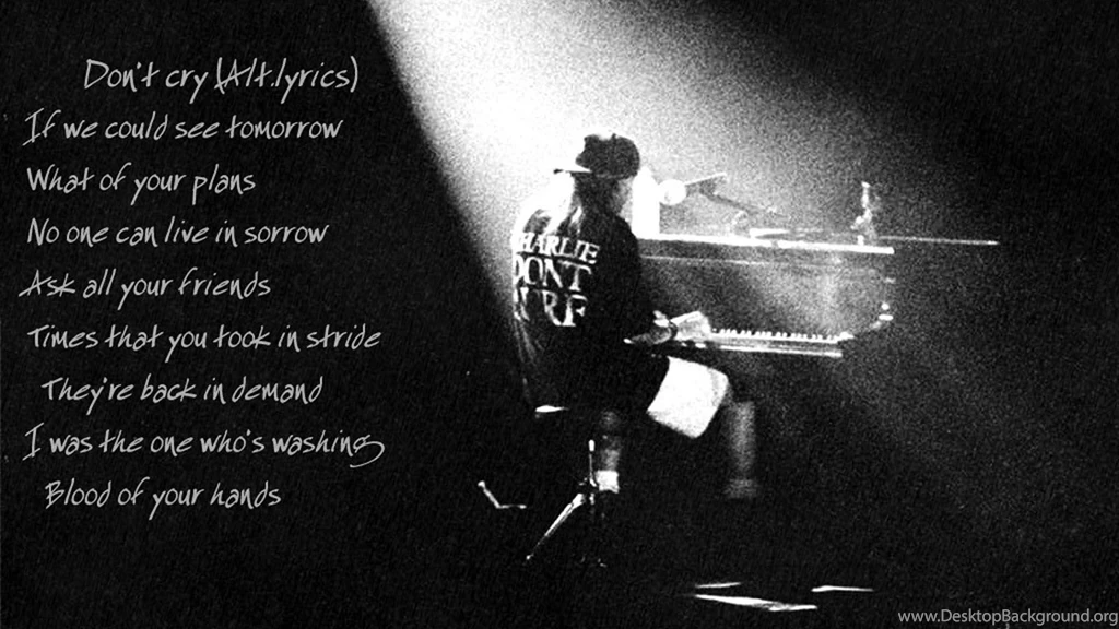 Guns N Roses Wallpapers 1920x1080 53749 Desktop Wallpapers