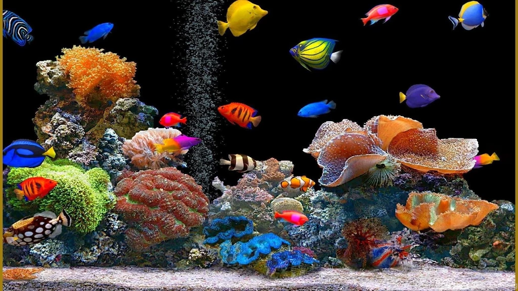 Beautiful fish wallpaper HD.jpg