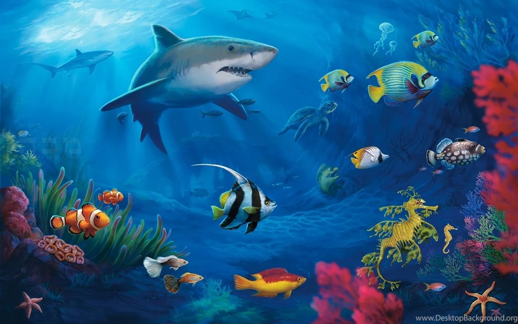 HD Fish Wallpapers.jpg