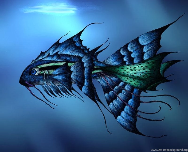 Fish Hd Wallpaper, Hd Fish Wallpapers Hemslojdsgoten