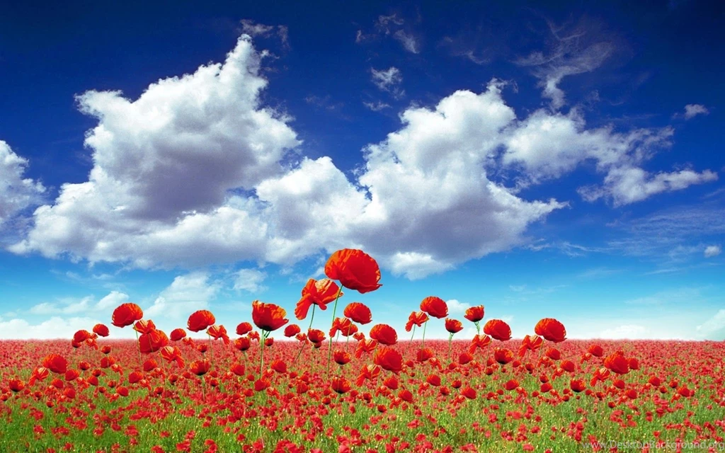 Windows Xp Desktop Backgrounds Your HD Wallpapers