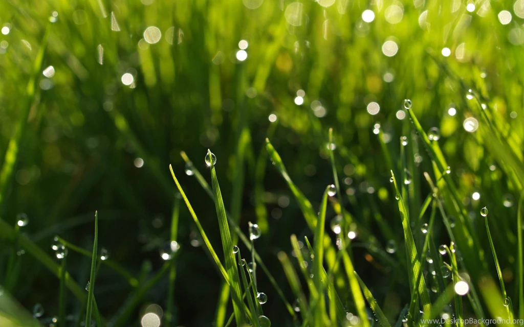 Natural Animated Hd Wallpapers