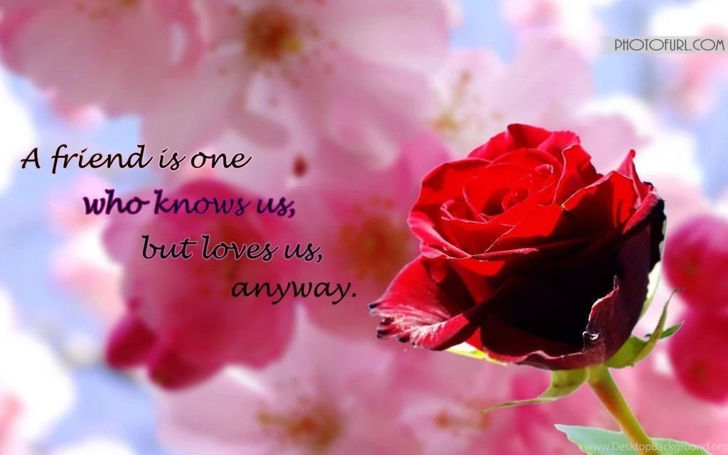 Roses Desktop Backgrounds