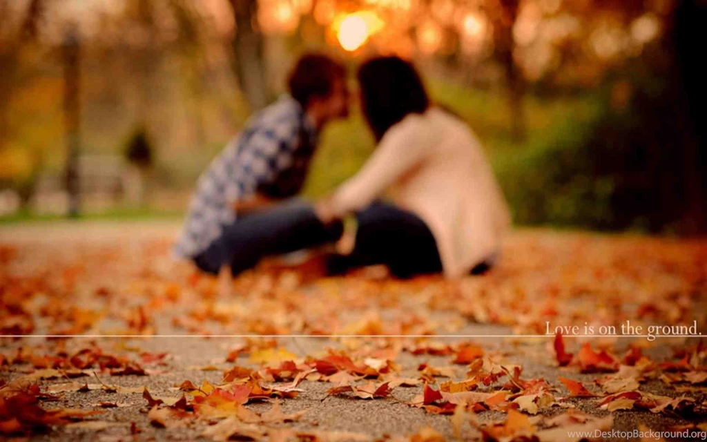 Love Is On The Ground Hd Wallpapers 1080p