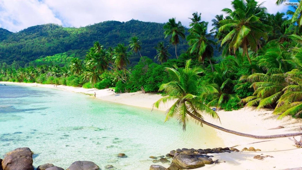 YouWall Beautiful Beach Wallpapers Wallpaper,wallpapers,free ...