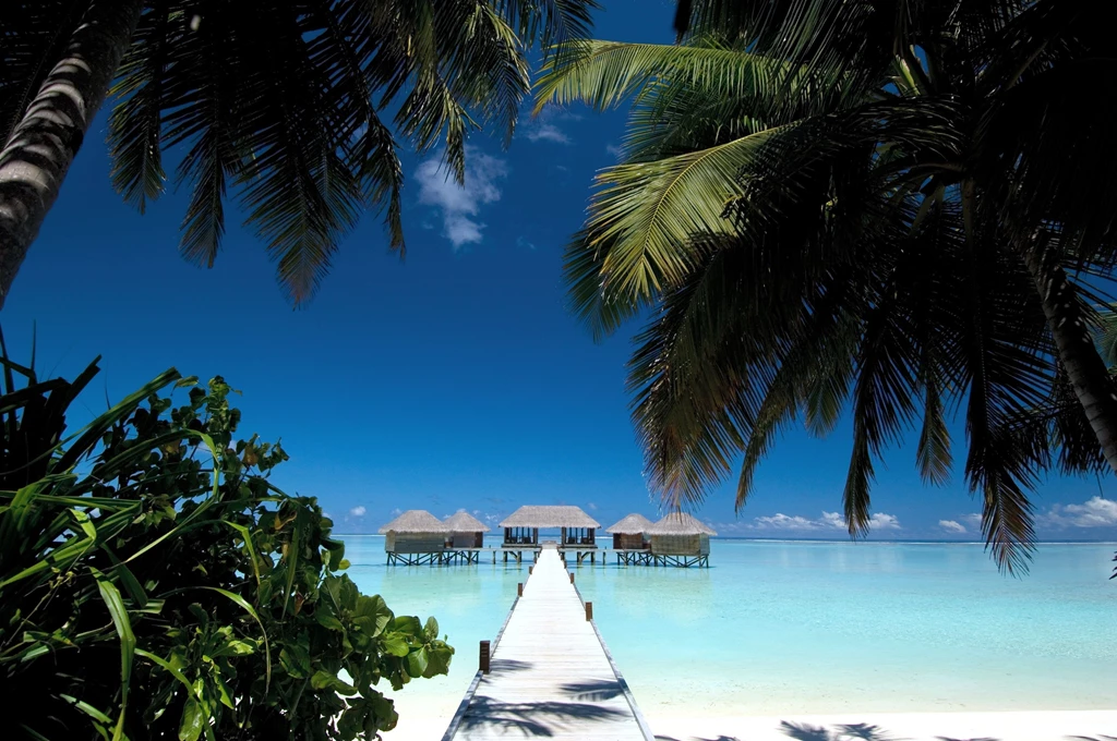 Maldives Beach House Palm Trees Paradise Tropical Wallpapers ...