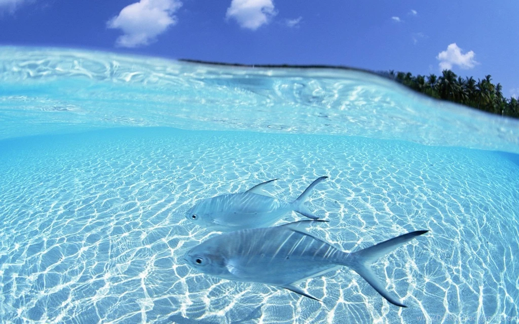 Maldives Widescreen Wallpapers Maldives Travel Maldives Tourism ...