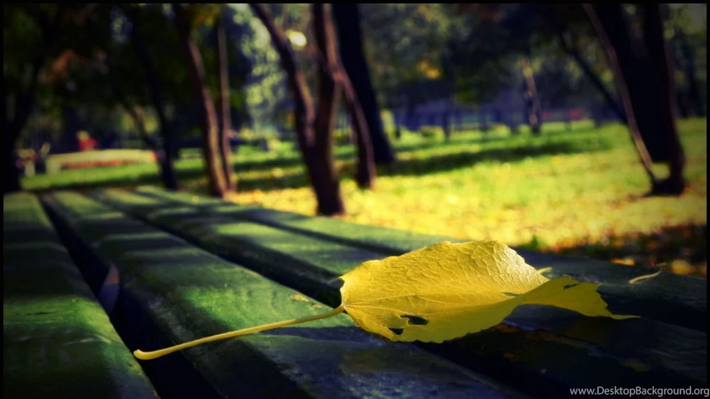 HD Nature 2016 Wallpapers For Mac STAY018