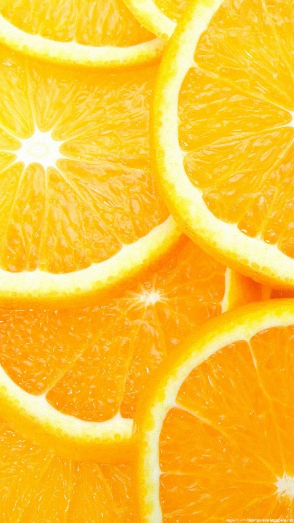 Sweet Fruit Orange iPhone 6 Wallpapers HD And 1080P 6 Plus Wallpapers