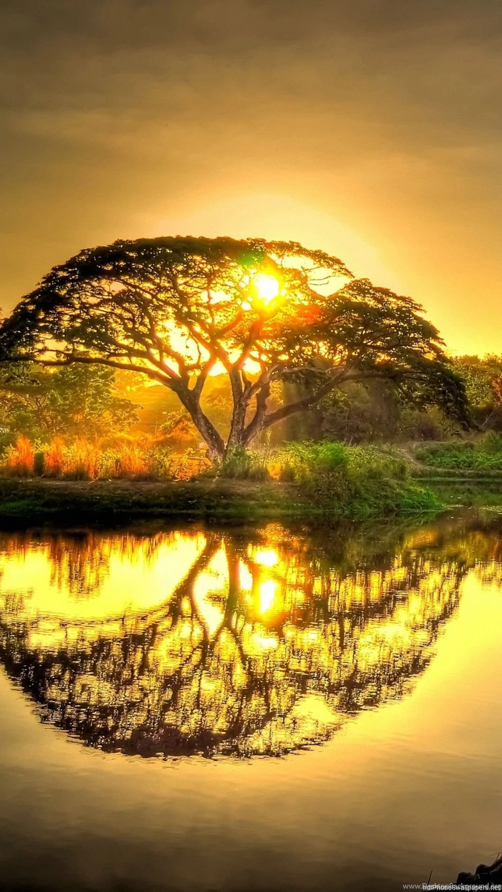 Bike Grass River Sunset iPhone 6 Wallpapers HD And 1080P 6 Plus ...