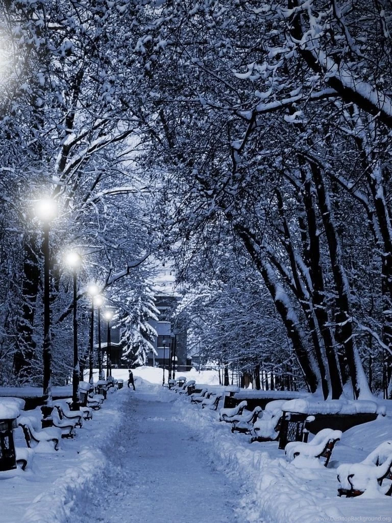 768x1024 Winter Trees Lamps & Way Ipad Wallpapers
