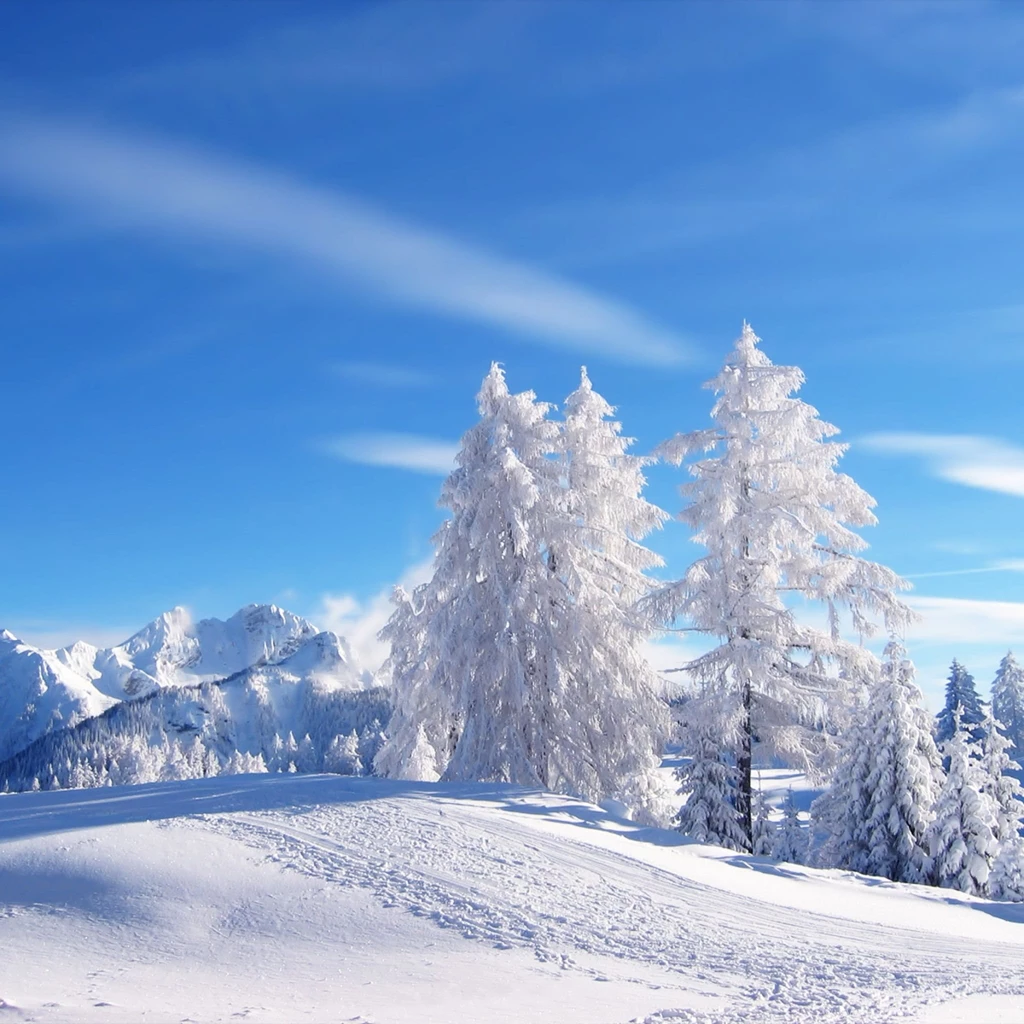 Winter iPad 3,4 & Air Wallpapers