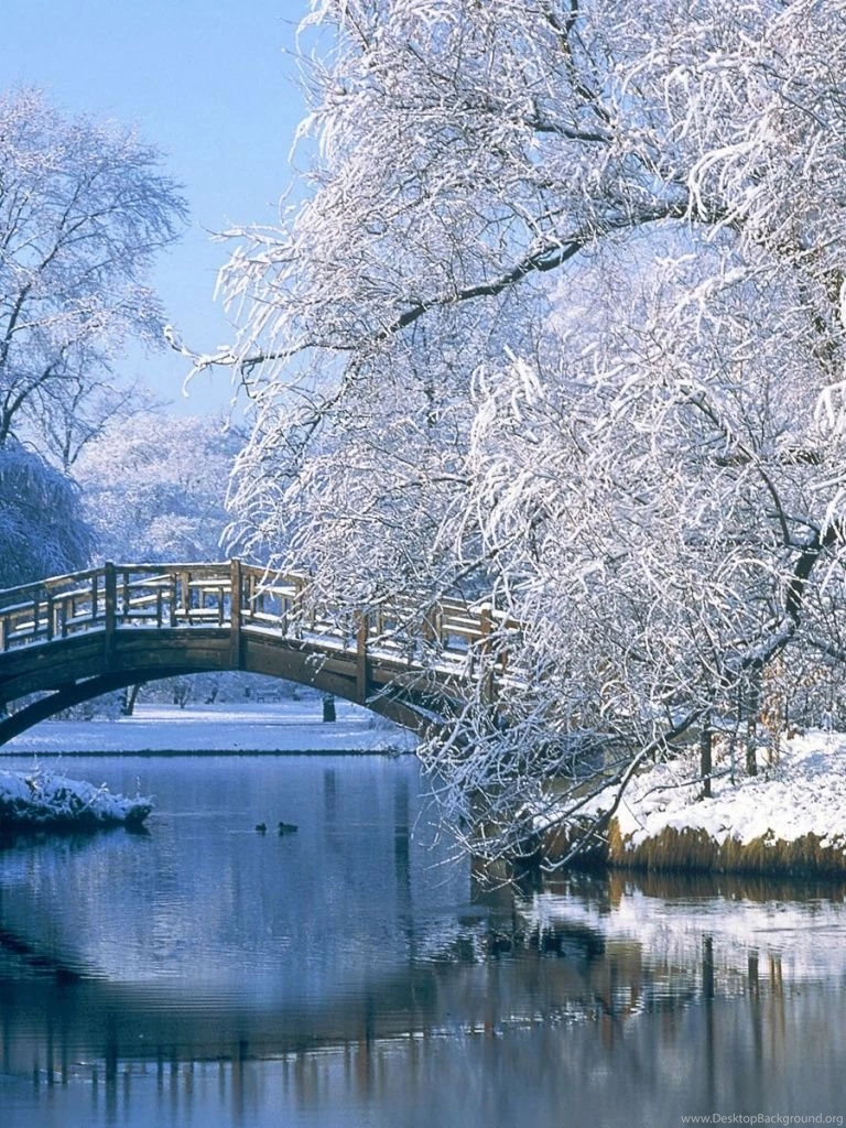 768x1024 Winter Scenery Ipad Wallpapers