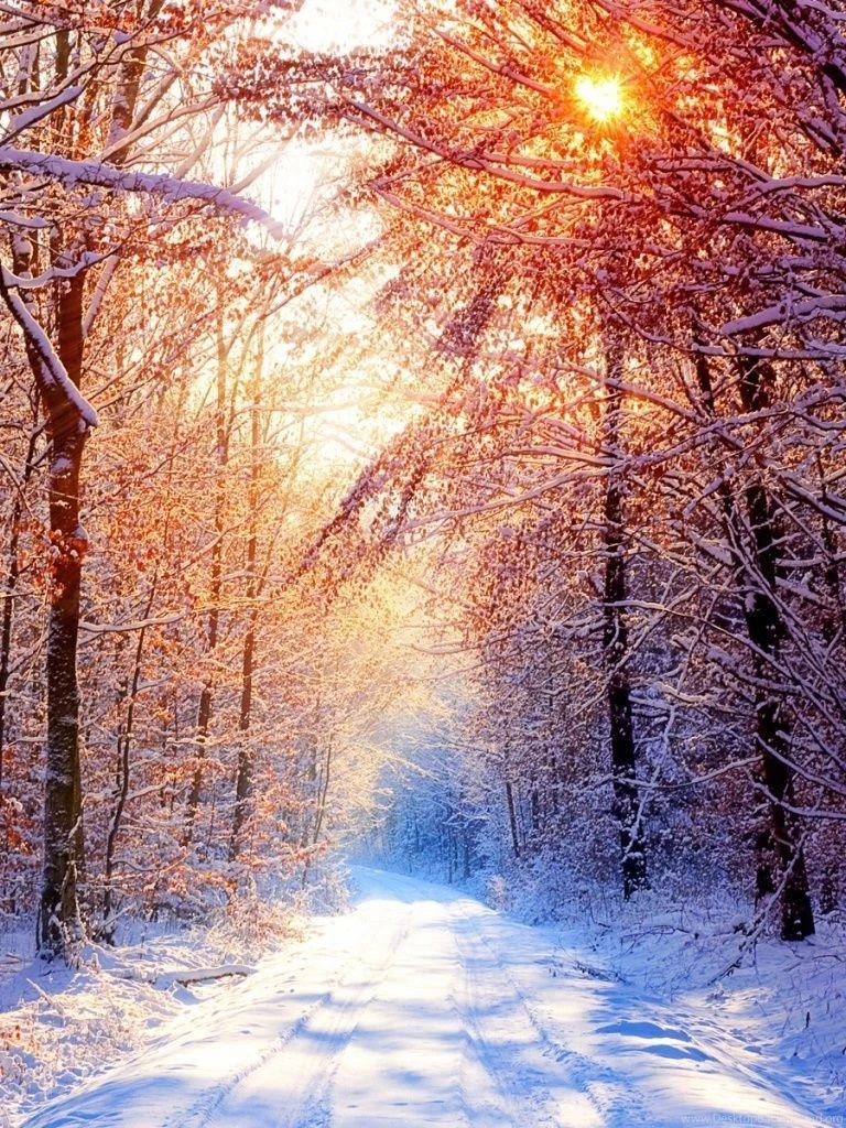 768x1024 Winter Sun Ipad Wallpapers