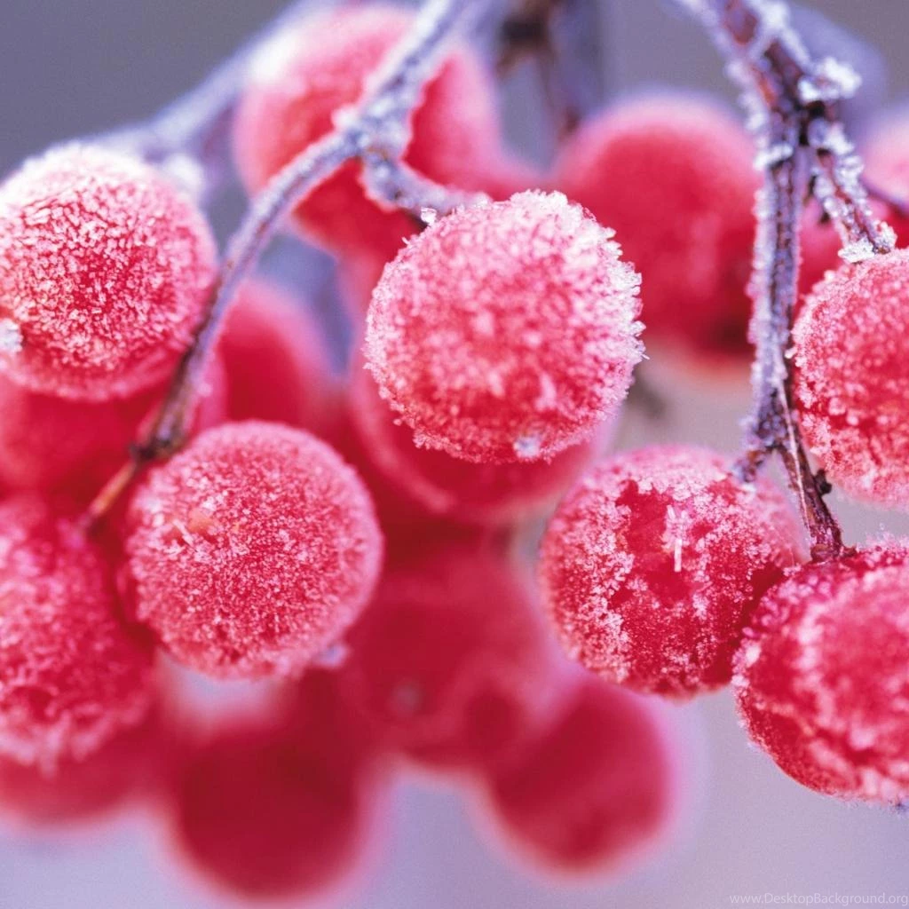 Wallpapers Weekends: Frosted iPad Mini Winter Pack