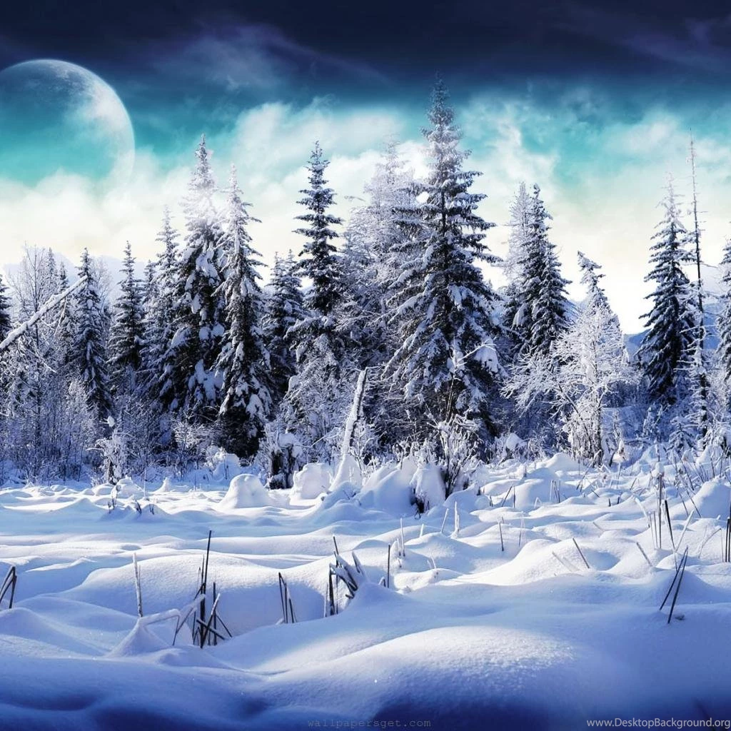 Christmas Winter Wallpapers 2015 Grasscloth Wallpapers