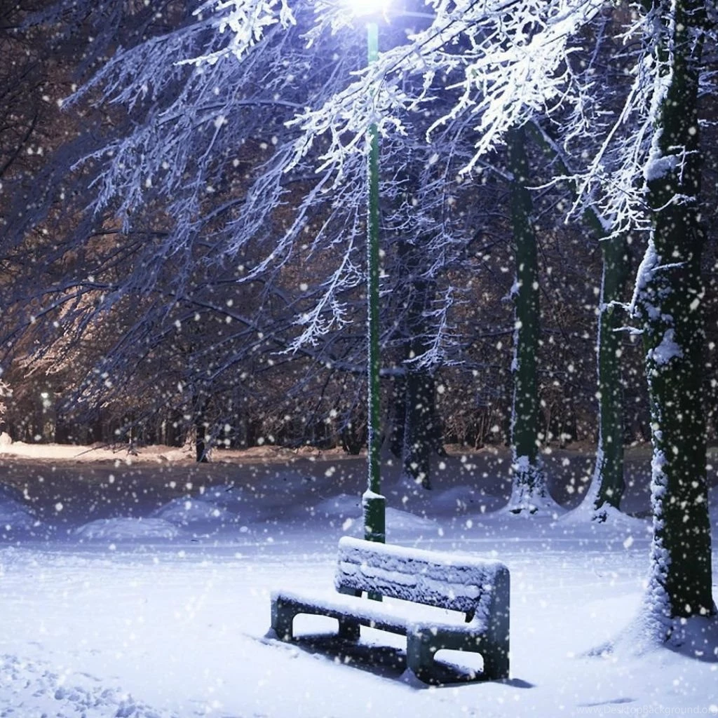 Winter iPad 1 & 2 Wallpapers