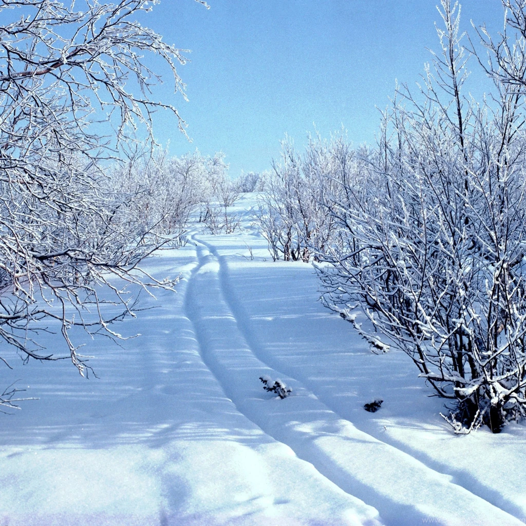 Download Wallpapers 2048x2048 Snow, Snowdrifts, Traces, Sledge ...