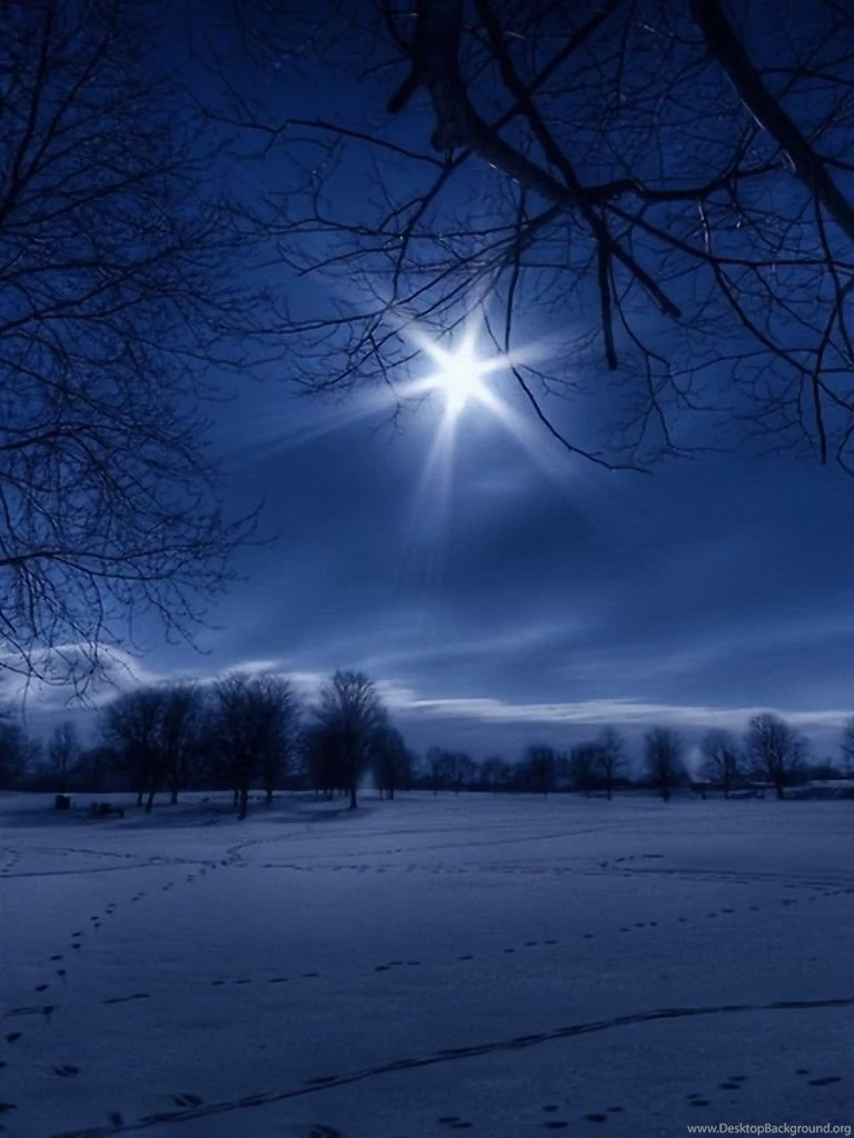 768x1024 Moonlight Star Winter Trees Ipad Wallpapers