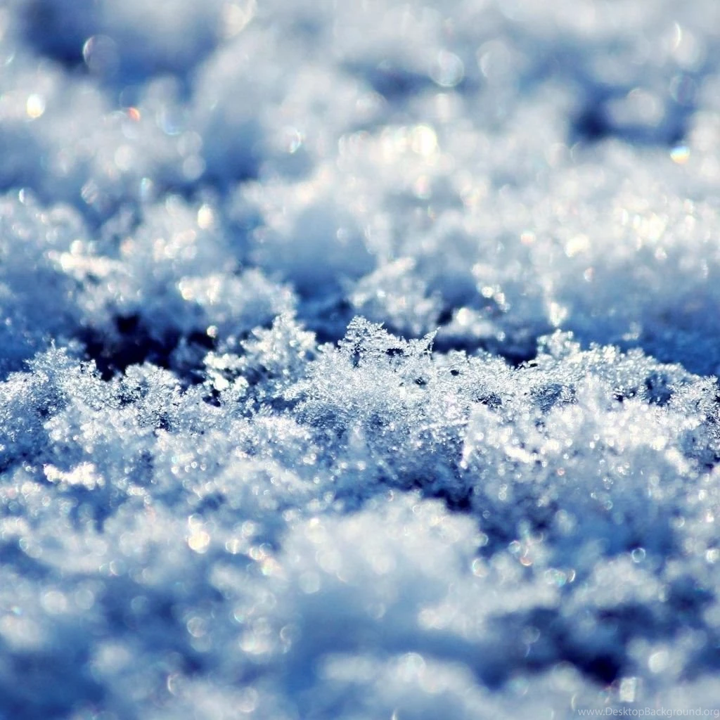 Winter iPad 1 & 2 Wallpapers