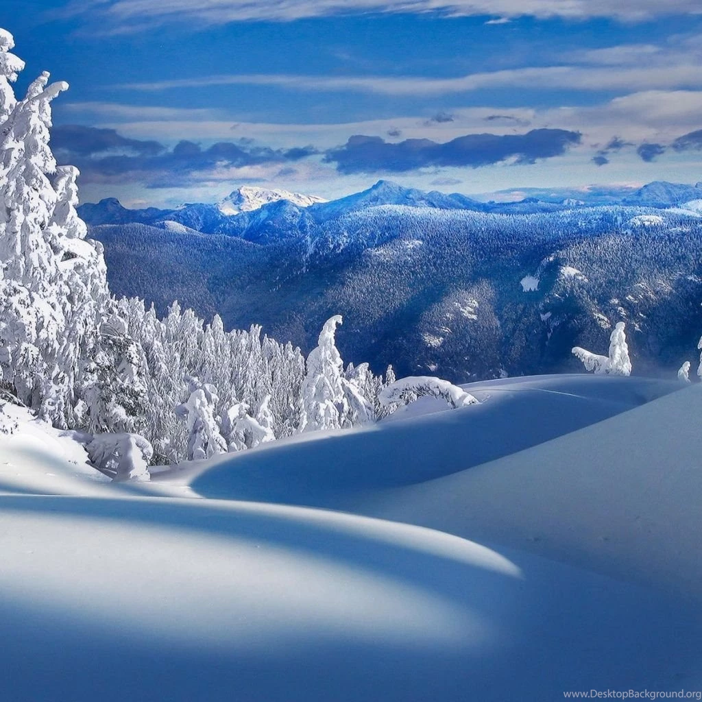Snow iPad 1 & 2 Wallpapers