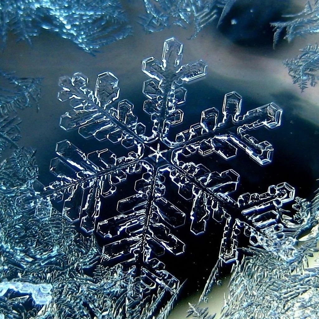 Download Wallpapers 1024x1024 Snowflakes, Shapes, Patterns, Ice ...