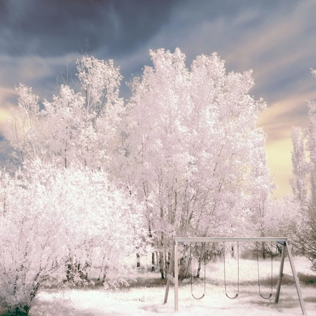 Download Wallpapers 1024x1024 Trees, Snow, Winter, Hoarfrost, Swing ...