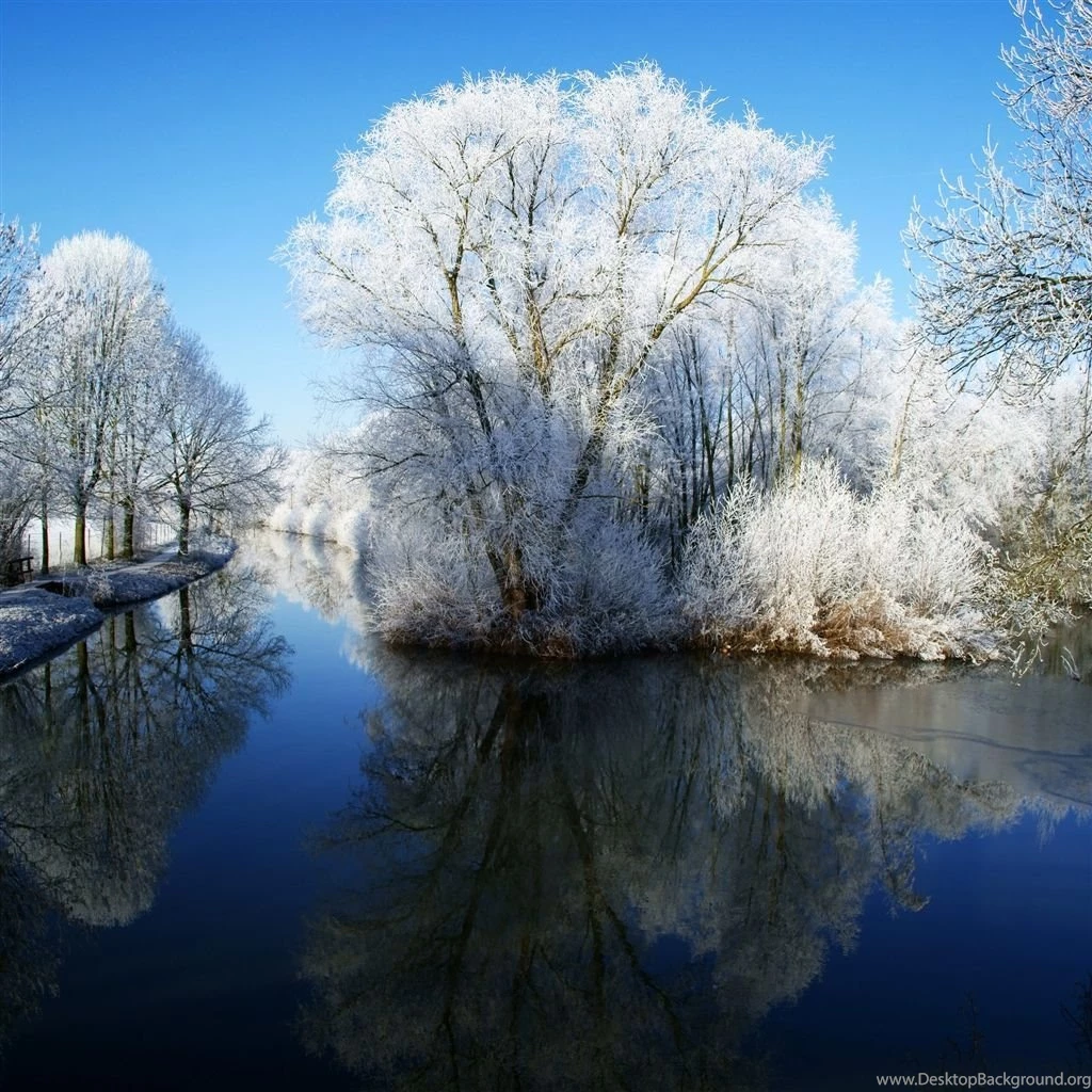 Winter Wonderland iPad Air Wallpapers Download