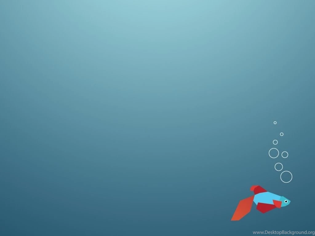 1024x768 Windows 8 Fish Logo Desktop PC And Mac Wallpapers